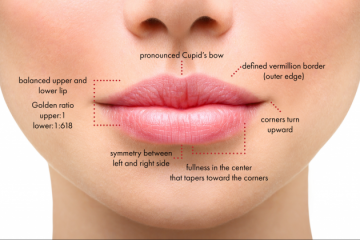 מילוי שפתיים – המדריך המלא